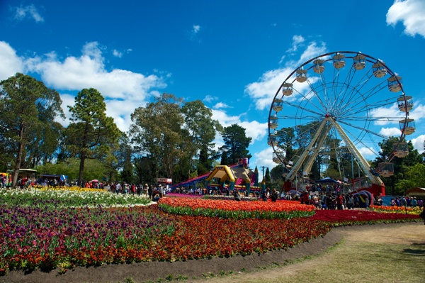 Canberra, Festivalul Floriade